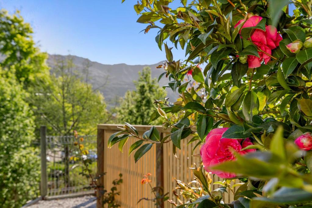 ASURE Brookvale Motel - Resim 23