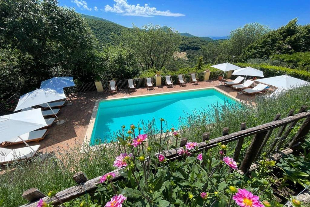 - une piscine avec des chaises, des parasols et des fleurs dans l'établissement Spoleto Country Park - Slps 28, à Acquaiura