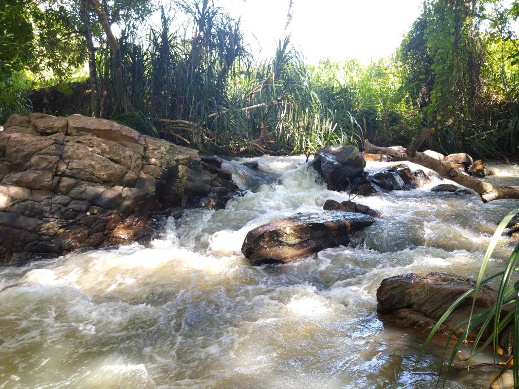 um riacho de água com rochas e árvores em Christina River Face Resort em Udawalawe