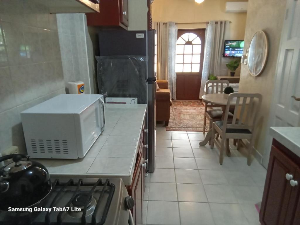 een keuken met een magnetron en een fornuis bovenste oven bij Jazz Apartment 2 in Christ Church