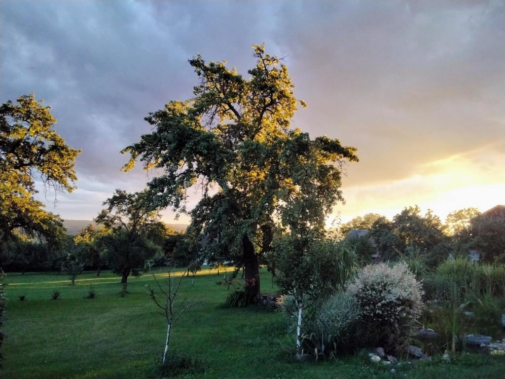 Príroda v okolí apartmánu