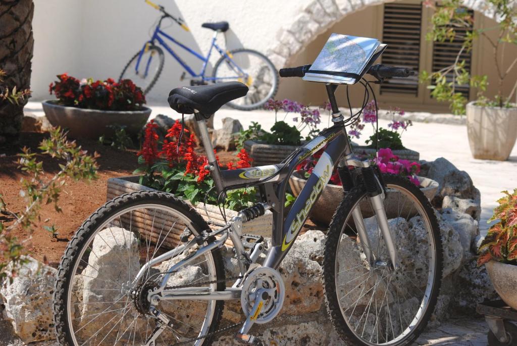 Jízda na kole v ubytování B&B Puglia Vista Mare nebo okolí