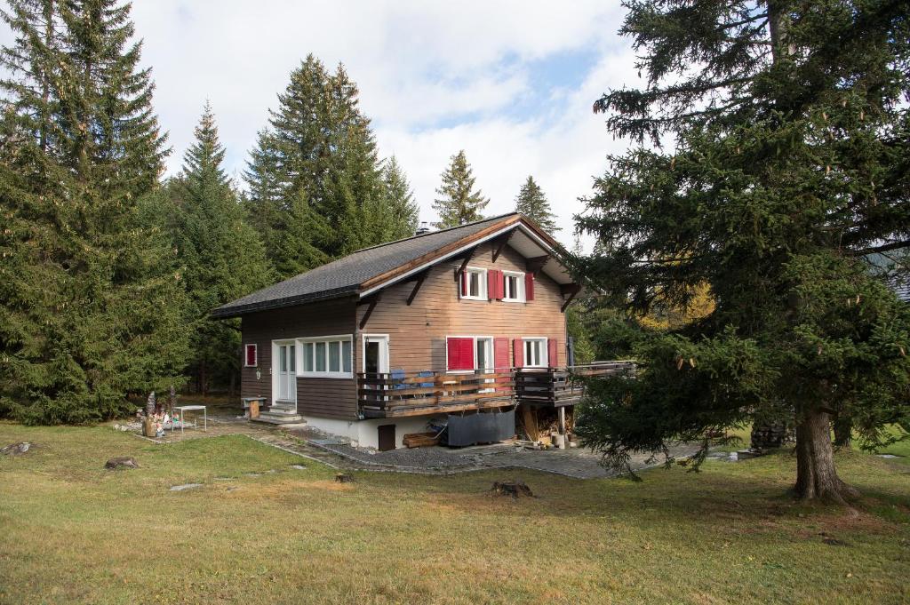 eine Blockhütte auf einem Feld mit Bäumen in der Unterkunft Ferienhaus Tgantieni Ski-in Ski-out-Lenzerheide in Lenzerheide