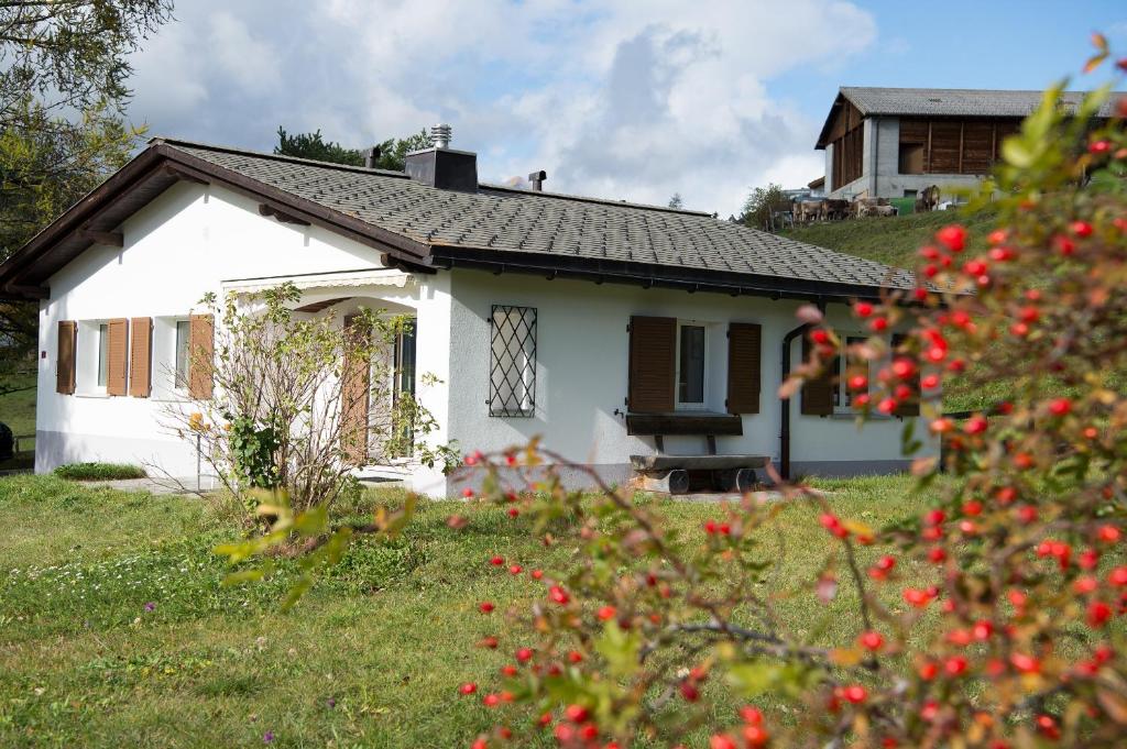 a small white house on a hill with red flowers at Ferienhaus mit Garten Tgease Schilendra-Lantsch-Lenz-Lenzerheide in Lenz