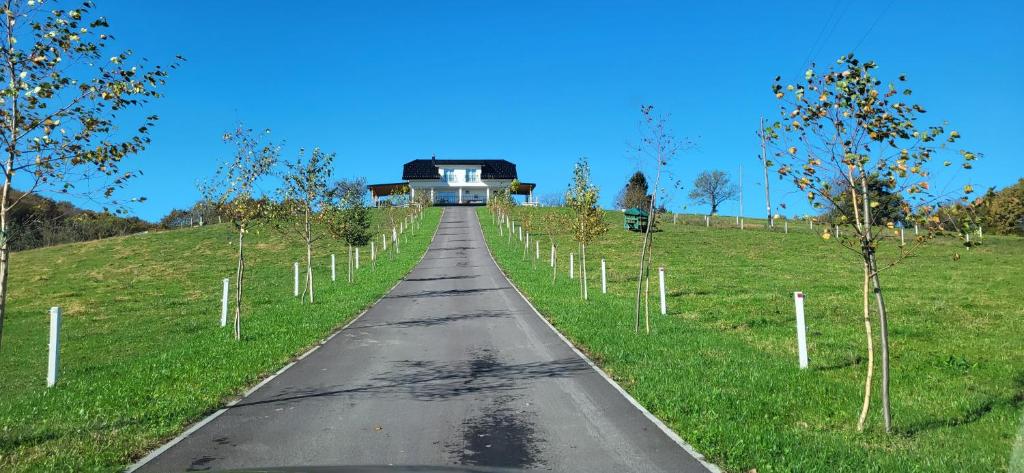Fotografie z fotogalerie ubytování Villa Hojnik v destinaci Videm pri Ptuju