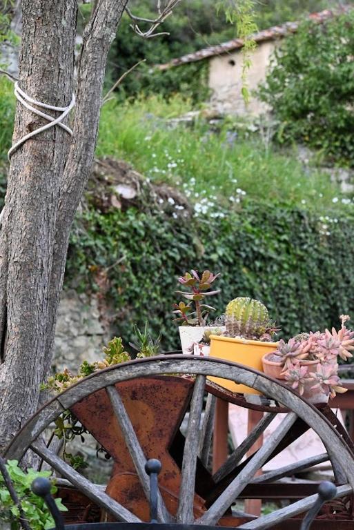 Zahrada ubytování Agriturismo CasaMatta Azienda Agricola