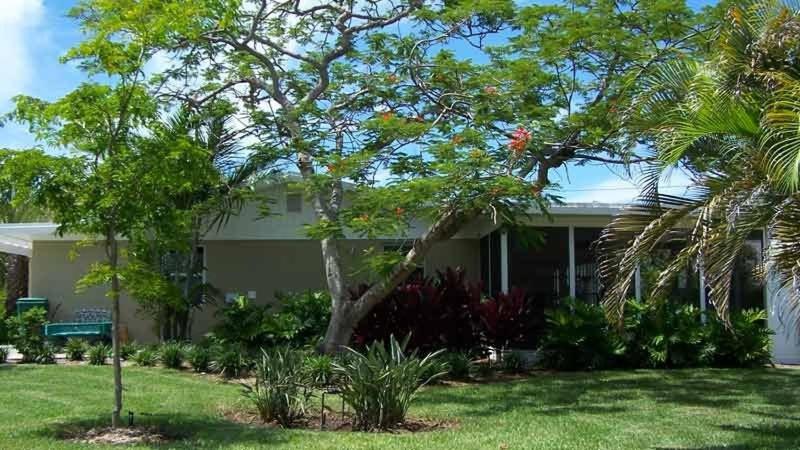 een huis met een boom in de tuin bij Palm Cottage #54605 in Holmes Beach