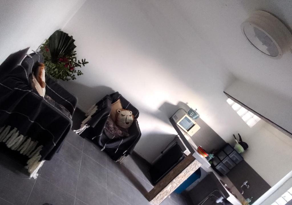 - Vistas a la sala de estar con sofá en Studio avec sa terrasse et son jardinet dans un écrin de verdure, en Les Abymes