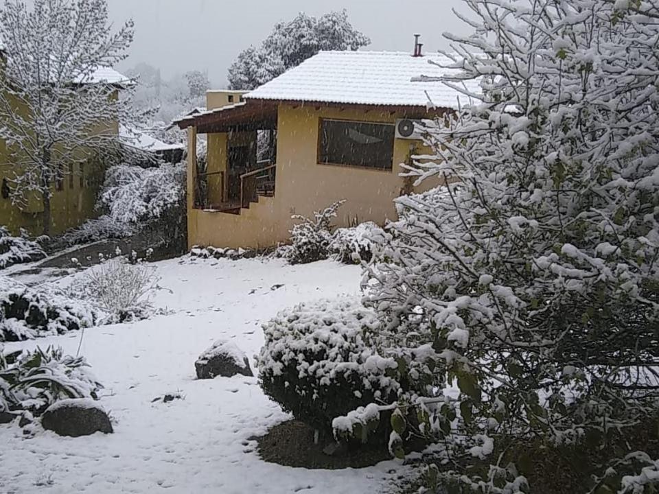 Cabañas Wairoa Haus - Bungalow (4 Adultos)