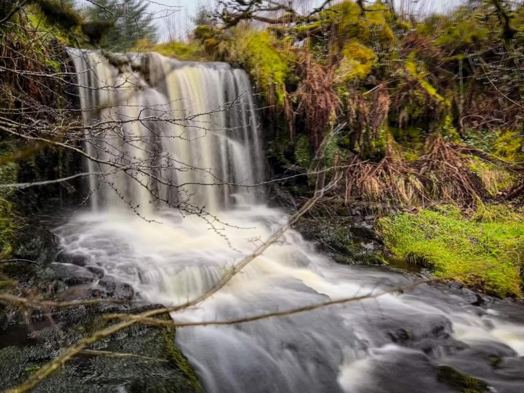 wodospad na brzegu rzeki w obiekcie Glenariff Forest Getaway w mieście Glenariff