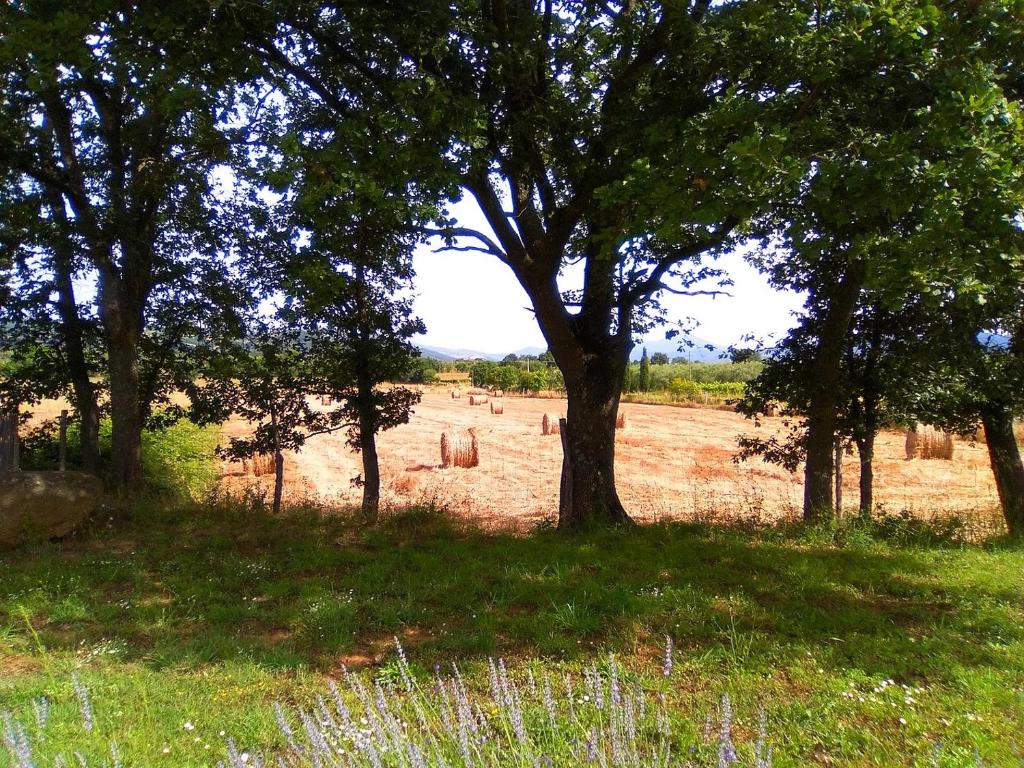 Fotografie z fotogalerie ubytování Agriturismo La Dependance v destinaci Sorano