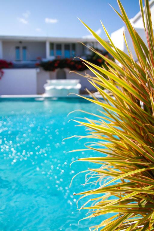 Bazén v ubytování Trade Winds Hotel nebo v jeho okolí