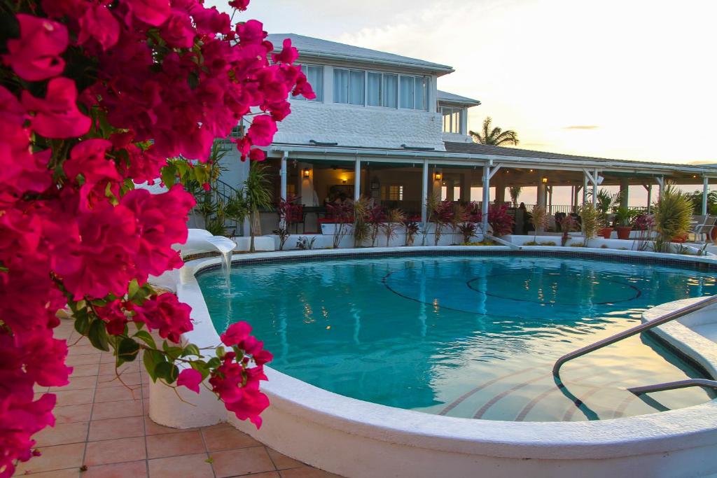 Bazén v ubytování Trade Winds Hotel nebo v jeho okolí
