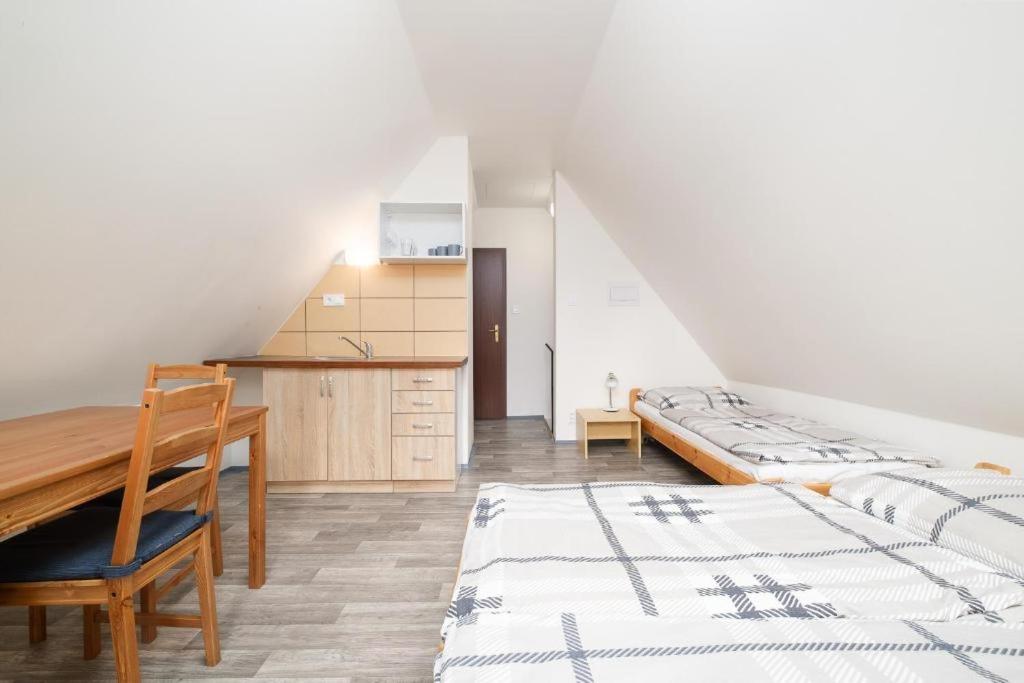 Apartmány Klínovec - Penzion Jonas - Appartement Met één Slaapkamer