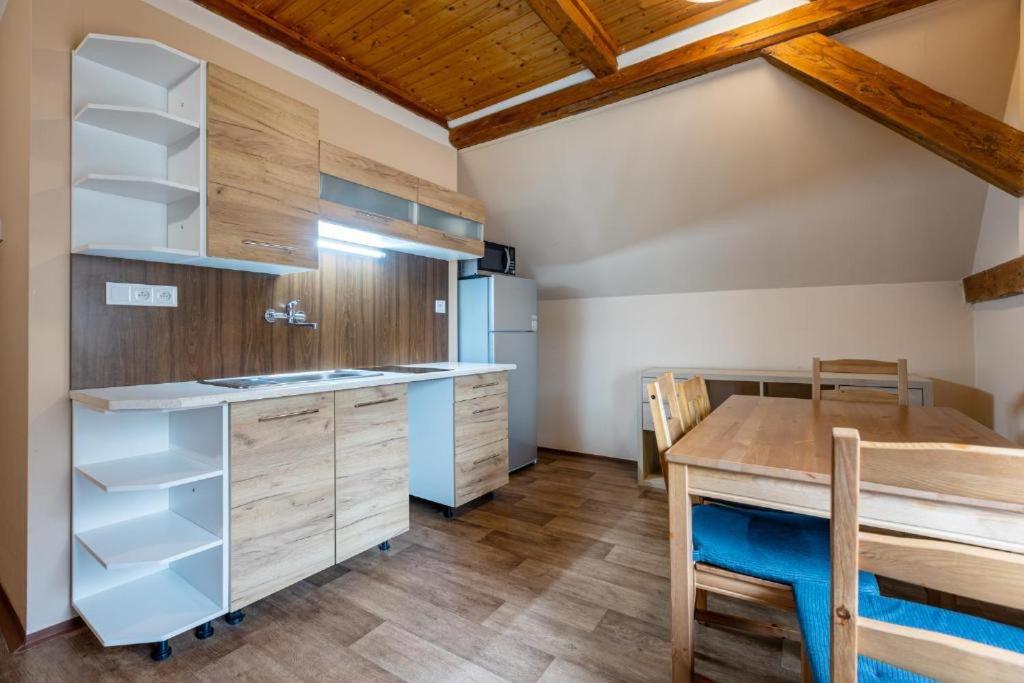 Apartmány Klínovec - Penzion Jonas - Twee Slaapkamers Appartement