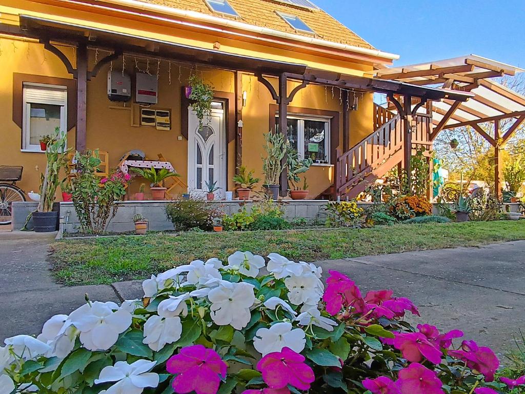 żółty dom z kwiatami przed nim w obiekcie Holt-Tisza Vendégház w Segedynie