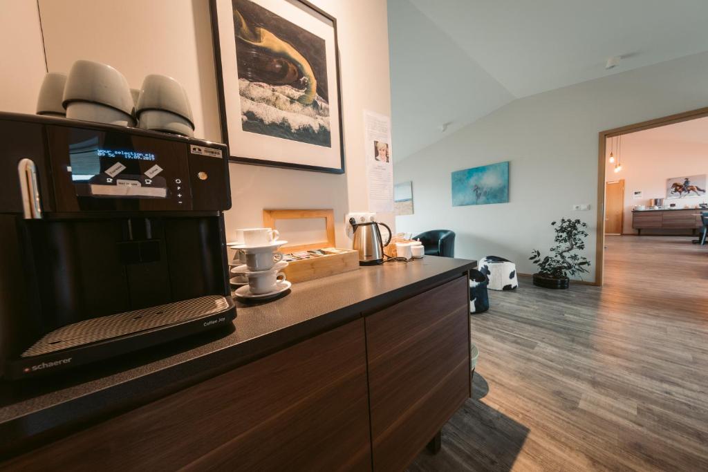 Kuchyň nebo kuchyňský kout v ubytování Hotel Vos