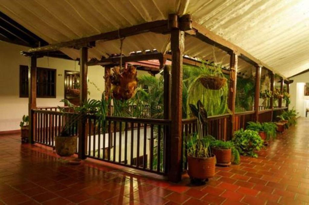 Hotel Las Nieves - 标准单人间