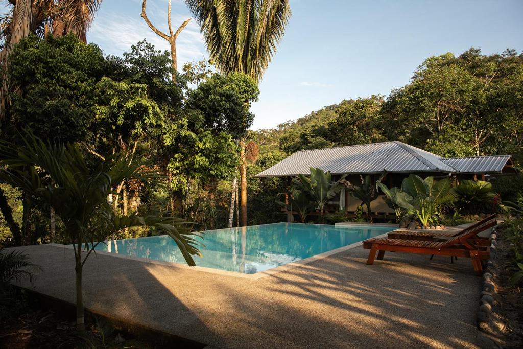 a swimming pool in a garden with a bench at Wild Wasi Lodge - Adventures - Guided Tours in Puyo