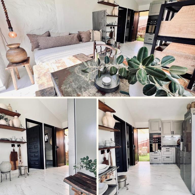 a living room with a couch and a plant at Casa Boutique Luxury Yumbo in Playa del Ingles