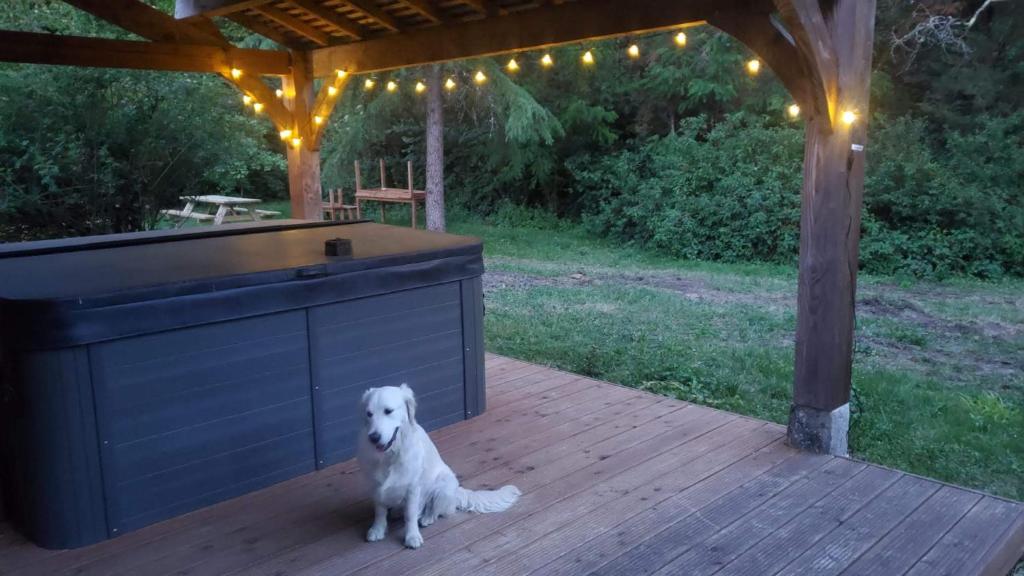 Domácí mazlíčci ubytovaní s hosty v ubytování La Rossignolerie - POD Cabanes des châteaux