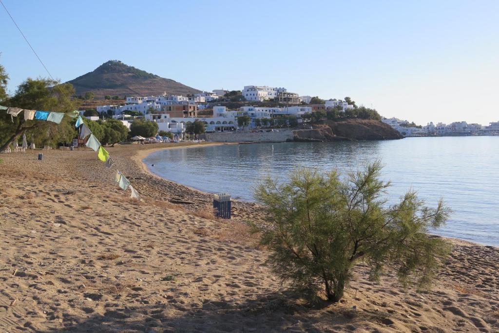 a beach with flags and a tree on the shore at Oasis Studios Logaras in Logaras