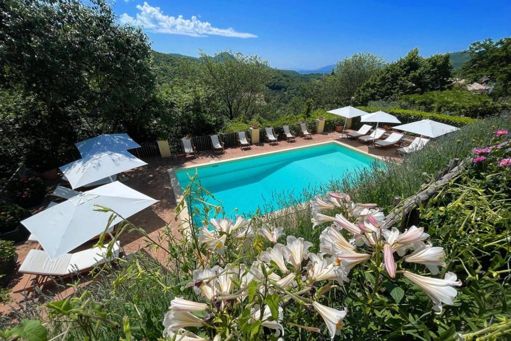 una piscina con sillas y sombrillas en un jardín en Spoleto Country Park - relax or be energetic, en Acquaiura