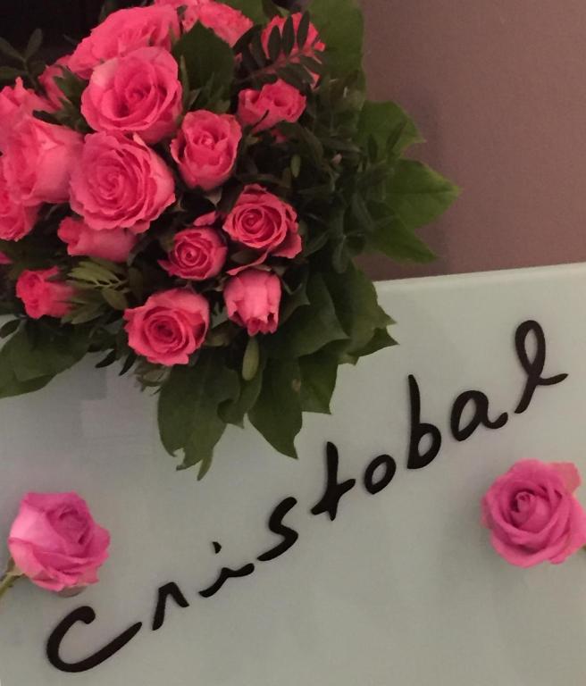 Hotel Cristobal - Resim 26