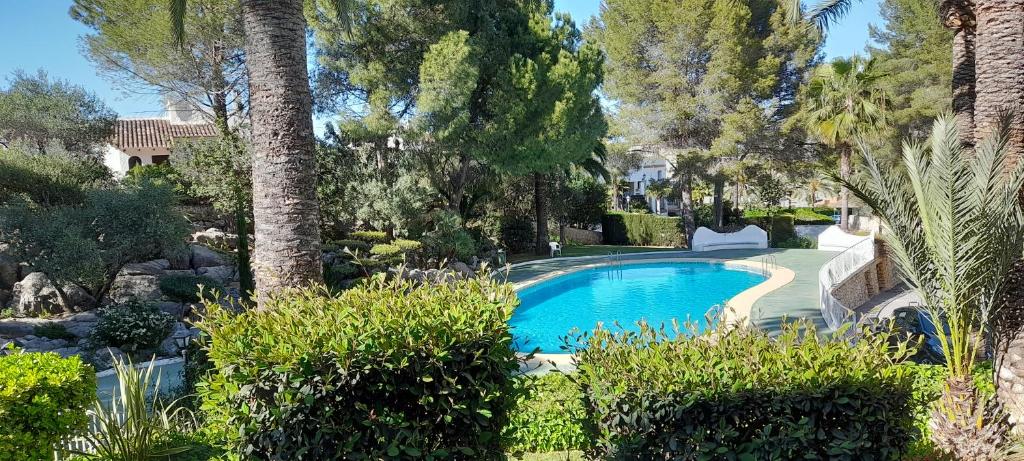 a swimming pool in a garden with trees and bushes at Bungalow Le Petit Chat in Pedreguer
