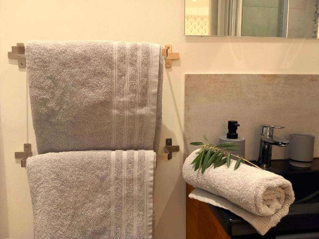 ein Badezimmer mit Handtüchern auf einem Handtuchhalter in der Unterkunft #2 Studio # Place charmante in Toulon