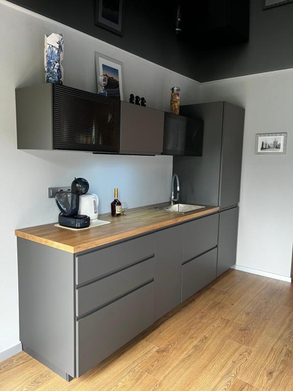 Kuchyň nebo kuchyňský kout v ubytování Appartment Pruhonice & terrace