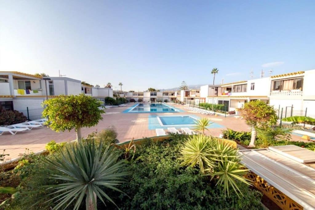 een appartementencomplex met zwembad en palmbomen bij Buenas Olas Tenerife in Costa Del Silencio