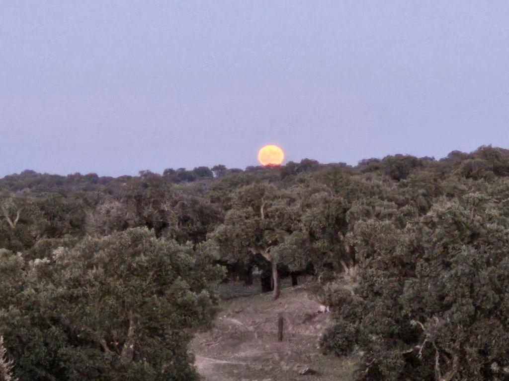Príroda v okolí hotela