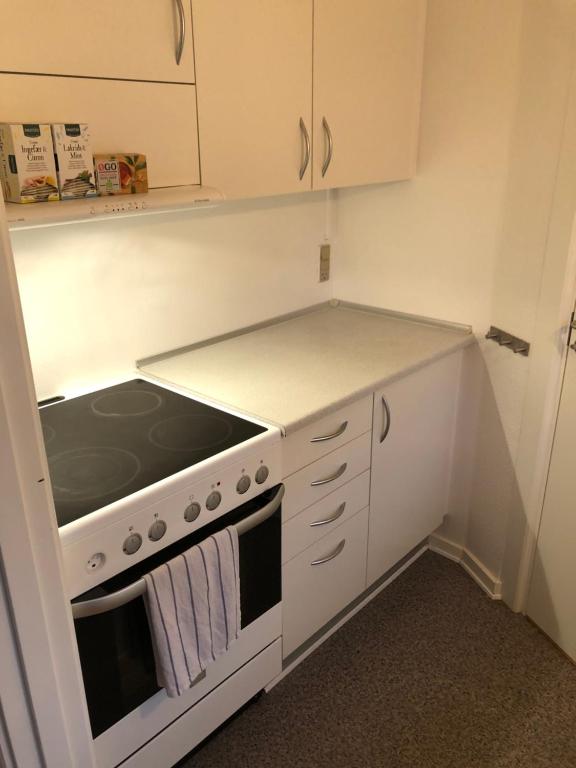 Kuchyň nebo kuchyňský kout v ubytování Huset ved springvandet