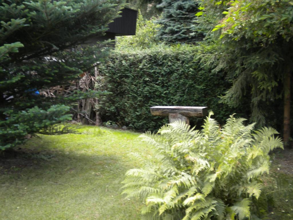 Zahrada ubytování Uroczy Domek Z Ogrodem I Tarasem