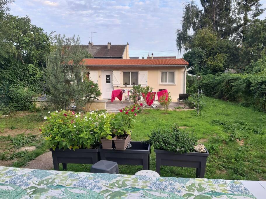 弗朗斯地区特朗布莱Appart T2 proche Aéroport Roissy的院子里有三株盆栽植物的房子
