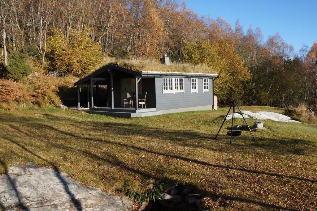 a small cabin with a grass roof on a field at Bregnehytte in Leikanger