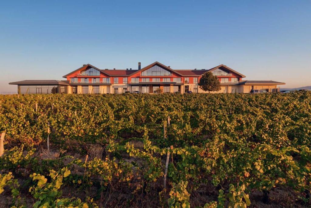 a large house on top of a field of vines at Katarzyna estate - L'Ambassade de Katarzyna in Svilengrad