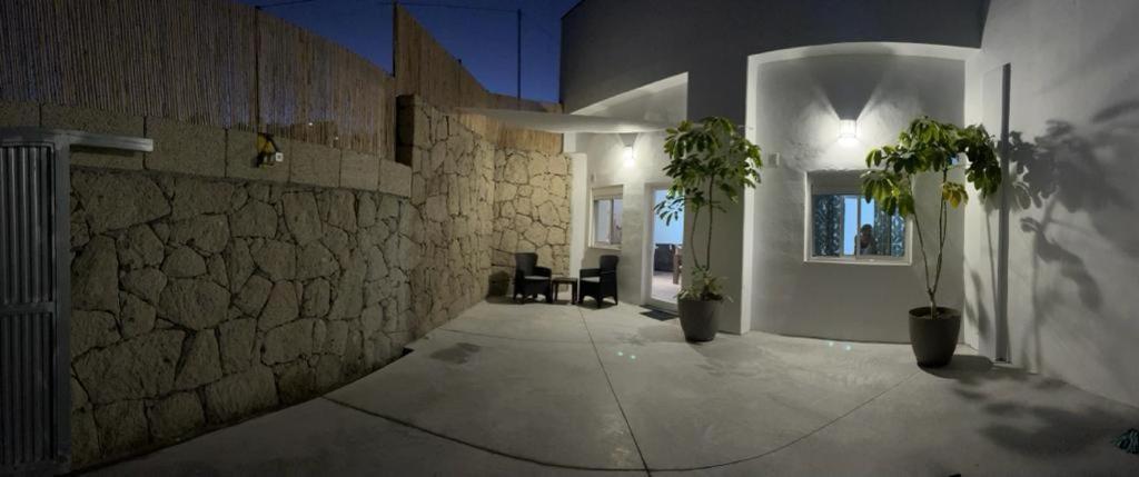 un corridoio con due piante in vaso e un muro di pietra di Cueva Lala a Granadilla de Abona