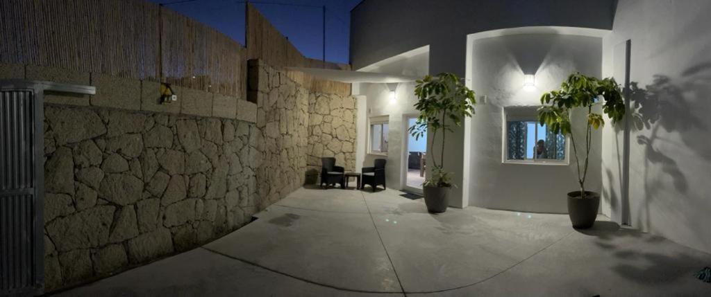 a hallway with two potted plants and a stone wall at Cueva Lala in Granadilla de Abona