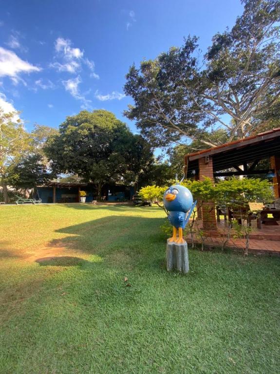 a blue vase sitting on a stump in the grass at Pousada Canto dos Passaros in Chapada dos Guimarães