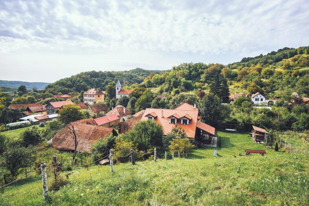 ein kleines Dorf an der Seite eines Hügels in der Unterkunft Petershaus - casa de vacanța și distractie. 