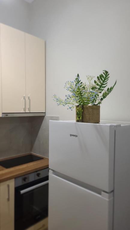 Home Inn Apartaments - Image 8