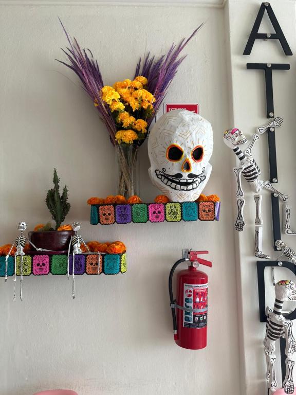 Foto dalla galleria di HOSTAL XAO a Città di Oaxaca