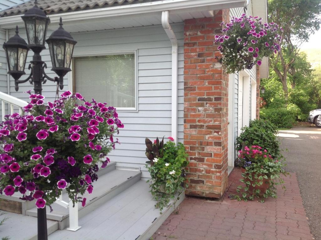 Zahrada ubytování McDougall Lane Bed & Breakfast