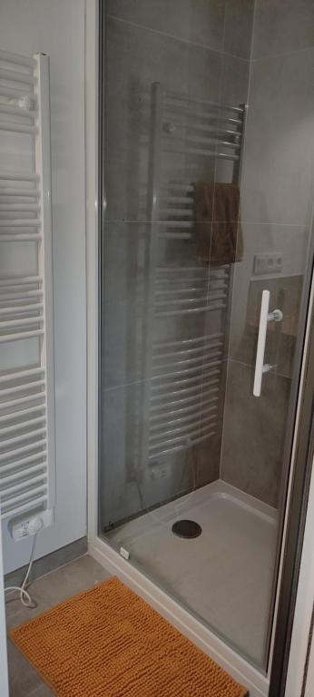 La salle de bains est pourvue d'une douche avec une porte en verre. dans l'établissement Appartement au coeur de Libourne, à Libourne