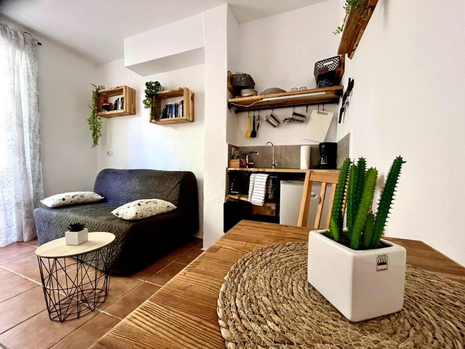 a living room with a couch and a cactus at La Tejita Studio in La Tejita