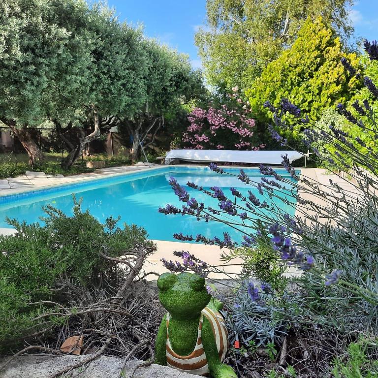 une statue de grenouille assise à côté d'une piscine dans l'établissement Maison le Pastaga, à Caromb