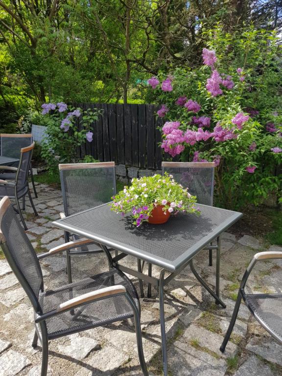 Una mesa negra con una maceta de flores. en Szymonówka W Szklarskiej Porębie en Szklarska Poręba