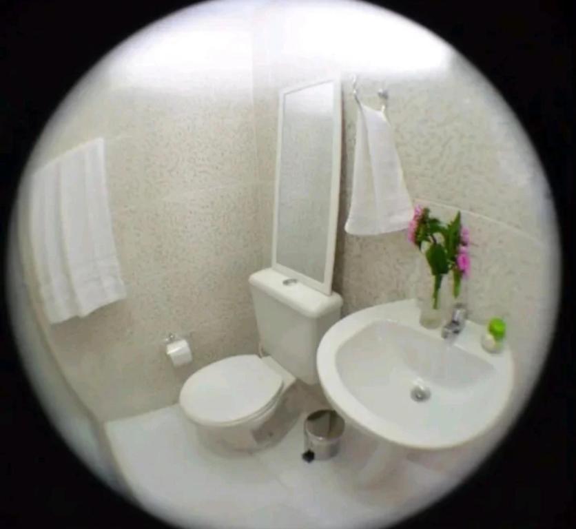 a bathroom with a white toilet and a sink at POUSADA DAS COLONIAS in Rio de Janeiro